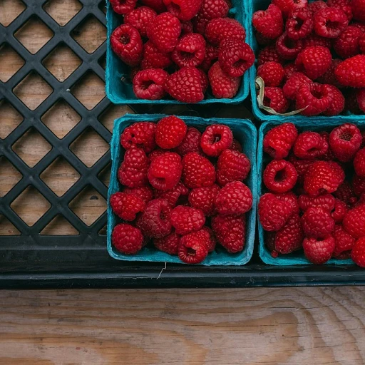 Appréciez les nuances des vins rouges aux arômes fruités