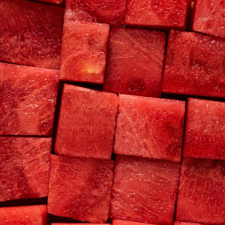 Explorez le menu le dauphin : une expérience culinaire unique