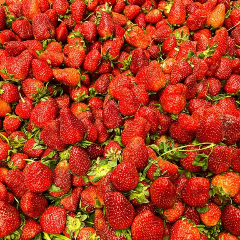 Comment valoriser la formation cake design cpf pour booster l’innovation en pâtisserie