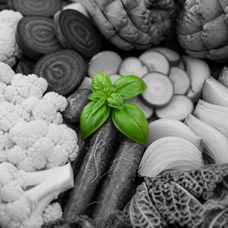 Légumes en vedette : pourquoi les menus végétaux ne sont plus un plan B