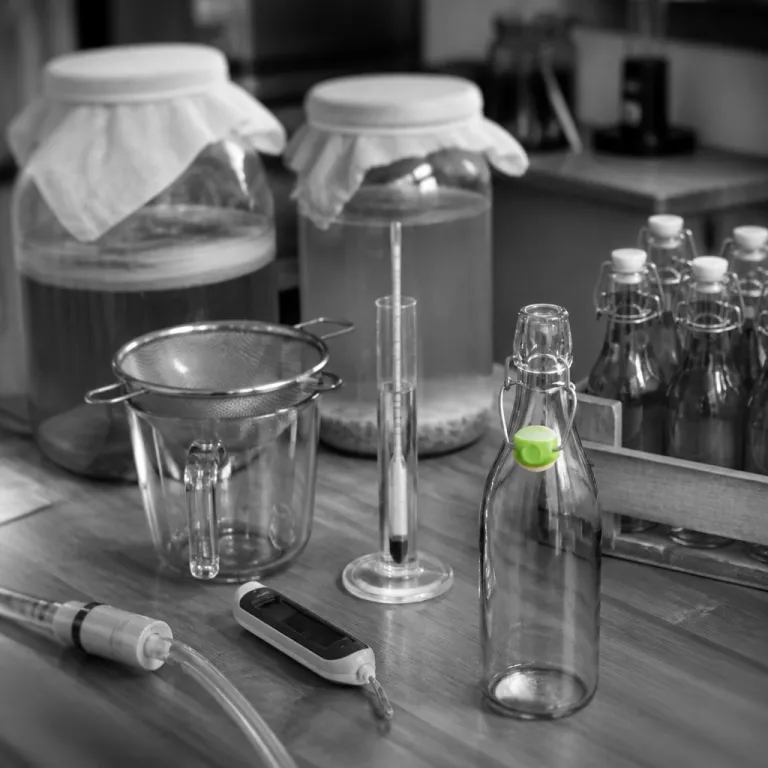Boissons fermentées au comptoir : quand le kombucha et le kéfir prennent la place du tonic